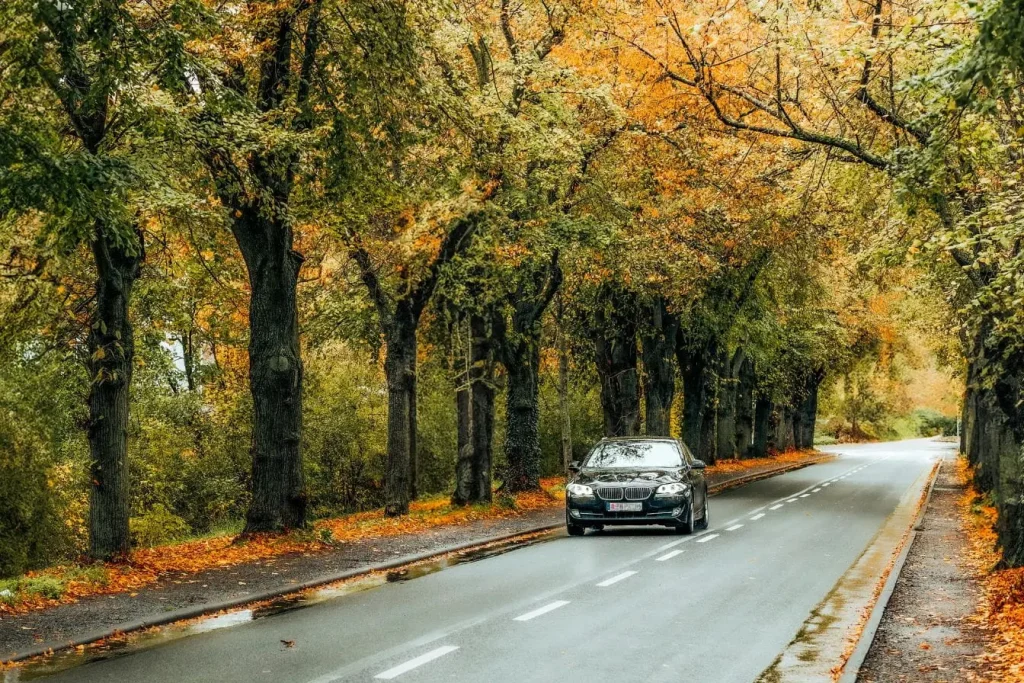 Voiture noire roulant sur route bordée d’arbres aux couleurs d’automne, image illustrant la conduite éco-responsable en harmonie avec la nature.