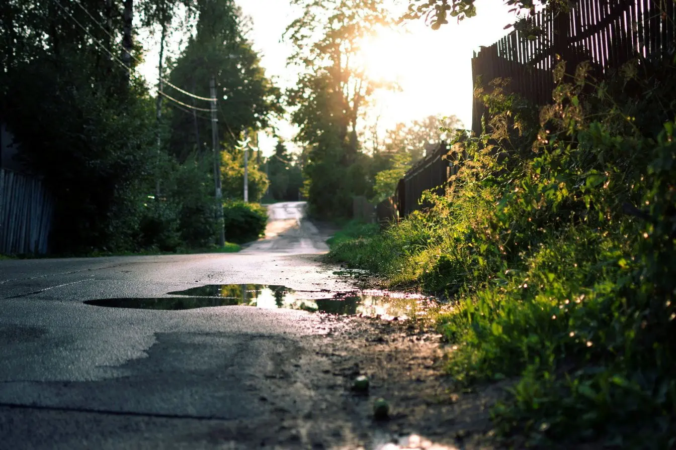 Chemin rural avec flaques d’eau Route étroite avec flaques et végétation, image illustrant les risques de dégâts sur voiture causés par un nid de poule.